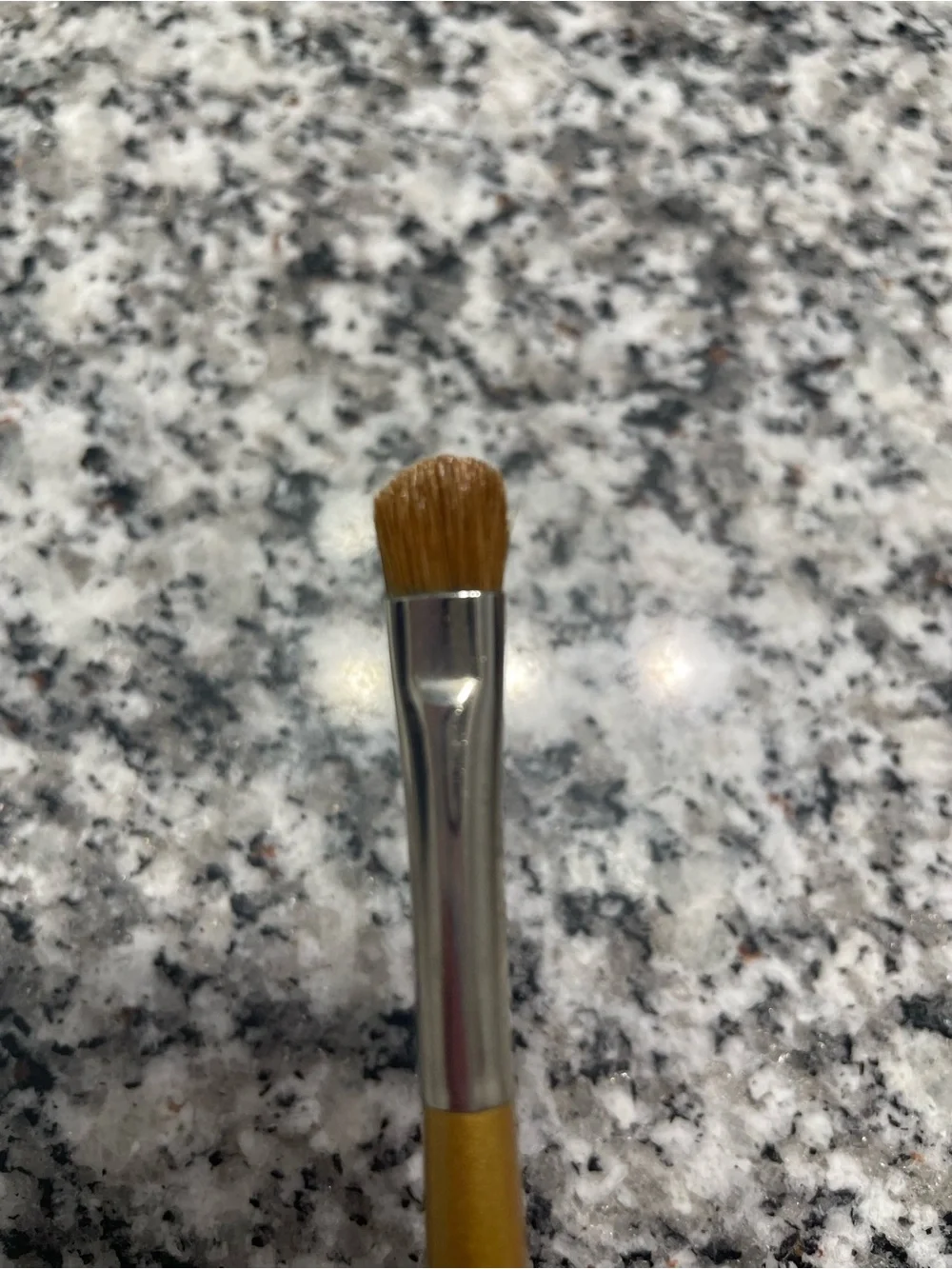 Trish McEvoy Gold Eye Brushes Set